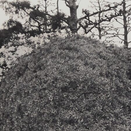 Lee Friedlander “Tokyo” Photograph Lee Friedlander Lee Friedlander "Tokyo" Photograph