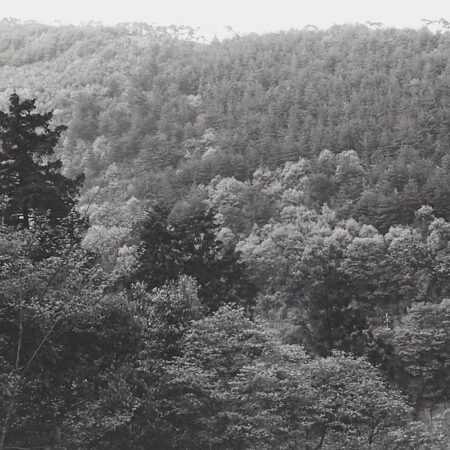 Lee Friedlander “Kyoto” Photograph Lee Friedlander Lee Friedlander "Kyoto" Photograph